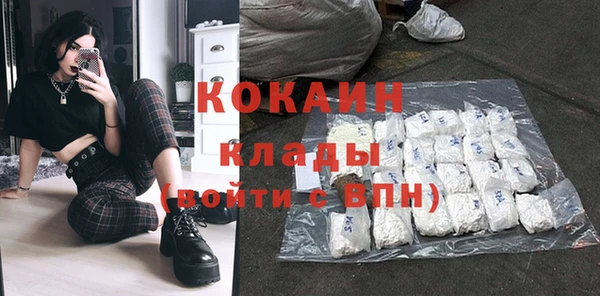 шишки Магадан