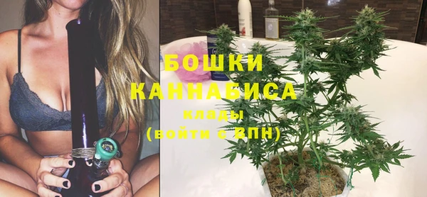 стаф Кукмор